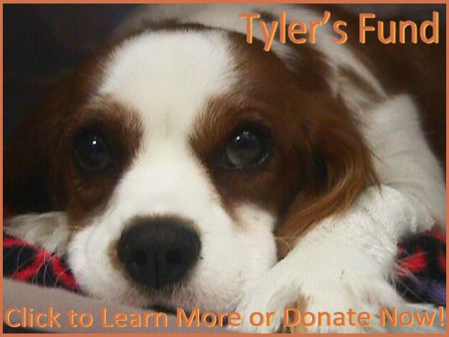 Tylers Fund Logo